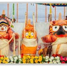 Load image into Gallery viewer, Recordings - Anasara Patti Sri Narayana Workshop