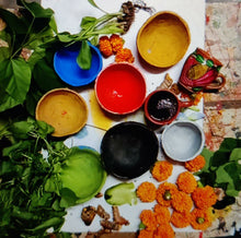 Load image into Gallery viewer, 10 shades of natural colors extracted from fruits, plants and clay. Vibrant long lasting colors with long shelf life